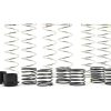 Parts Pro-Line | Pro-Line X-Maxx Dual Rate Spring Assortment